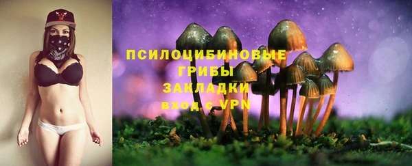 бошки Алексеевка