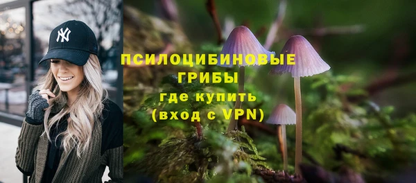 бошки Алексеевка