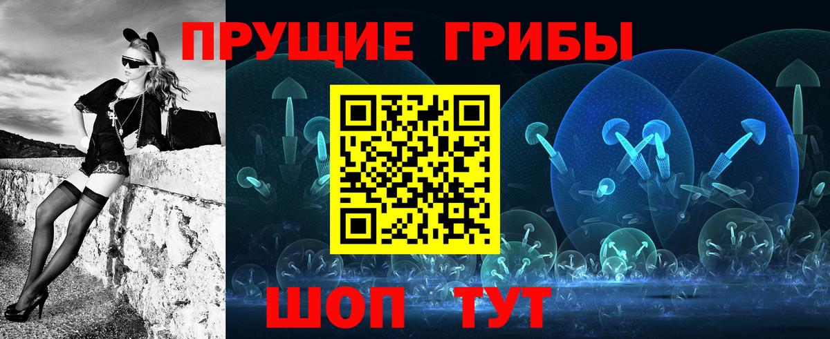 Искитим  Псилоцибиновые грибы MAGIC MUSHROOMS  Вход с VPN 